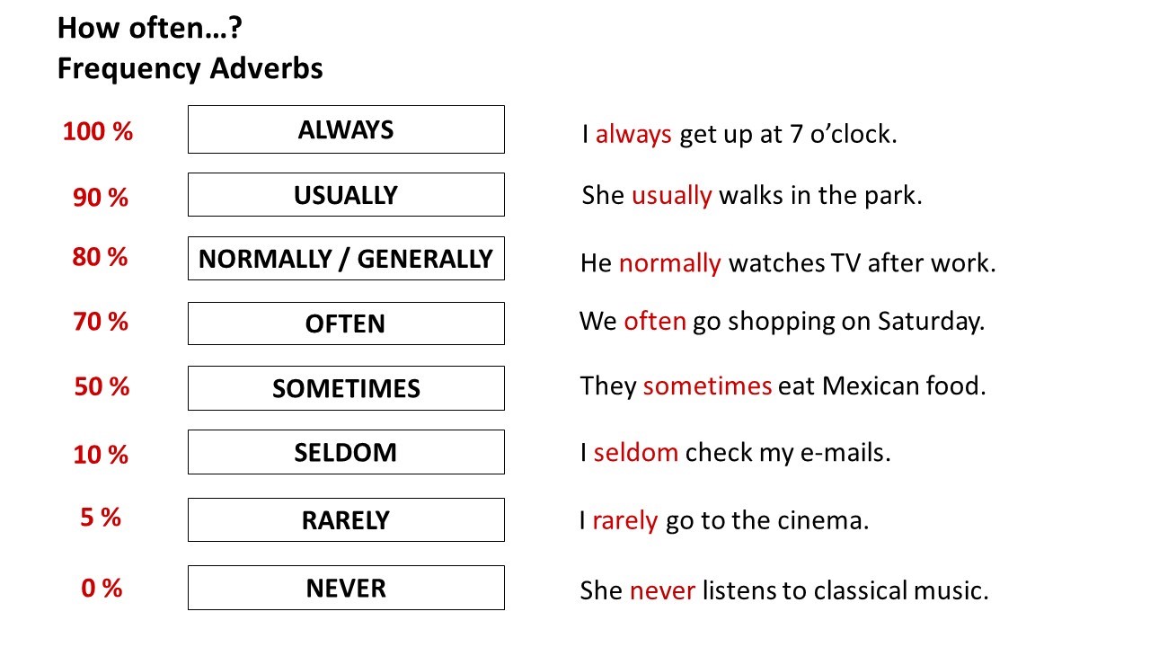 Learn The Frequency Adverbs In English